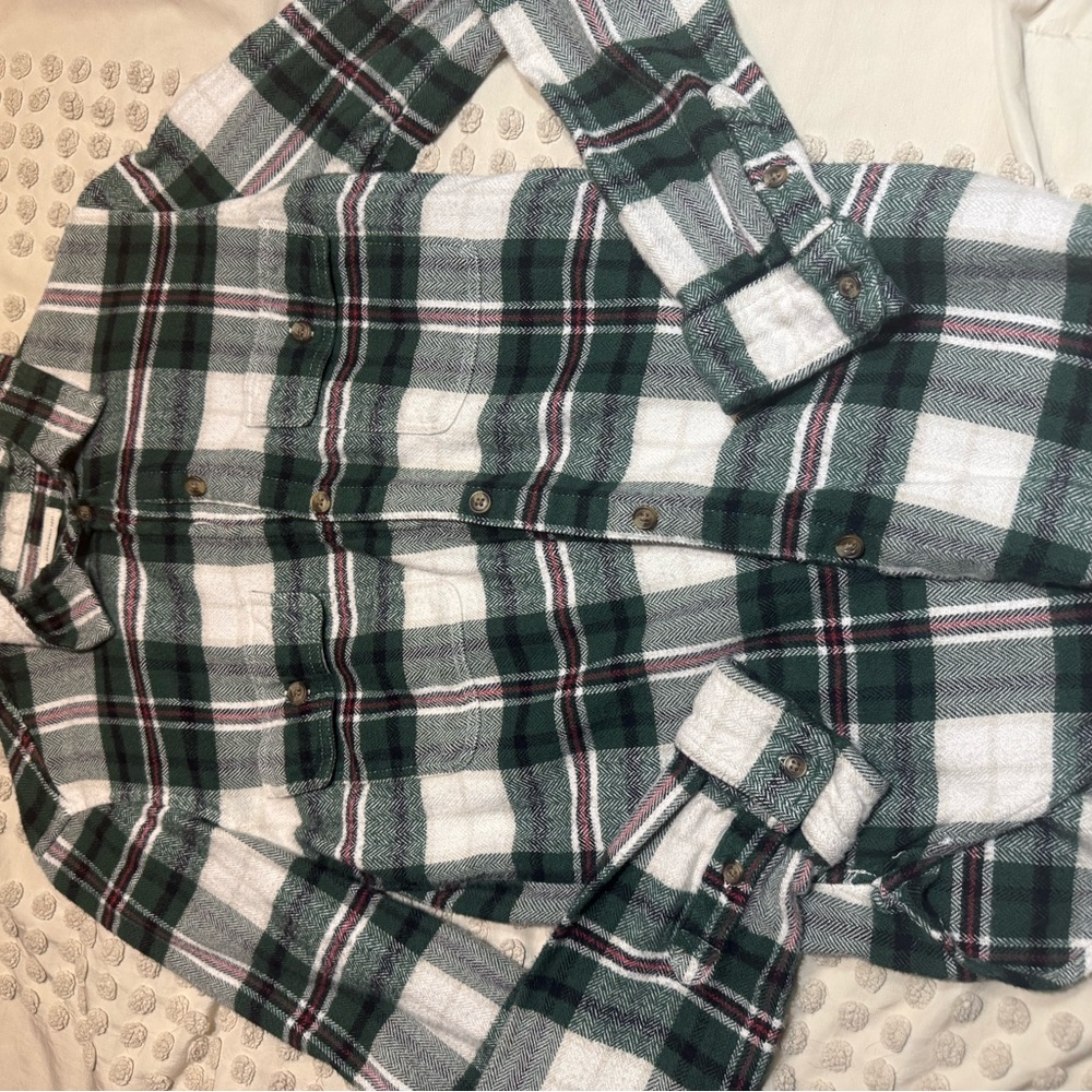 American Eagle Outfitters Green and White Plaid Shirt